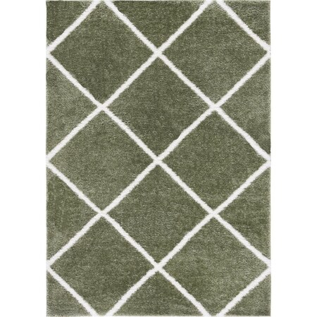 Safavieh 5 x 7 ft. Tahoe Shag Contemporary Rectangle Area Rug; Sage & White THO676W-5